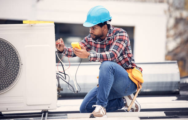 Best Local Electrician Companies  in Brocton, NY